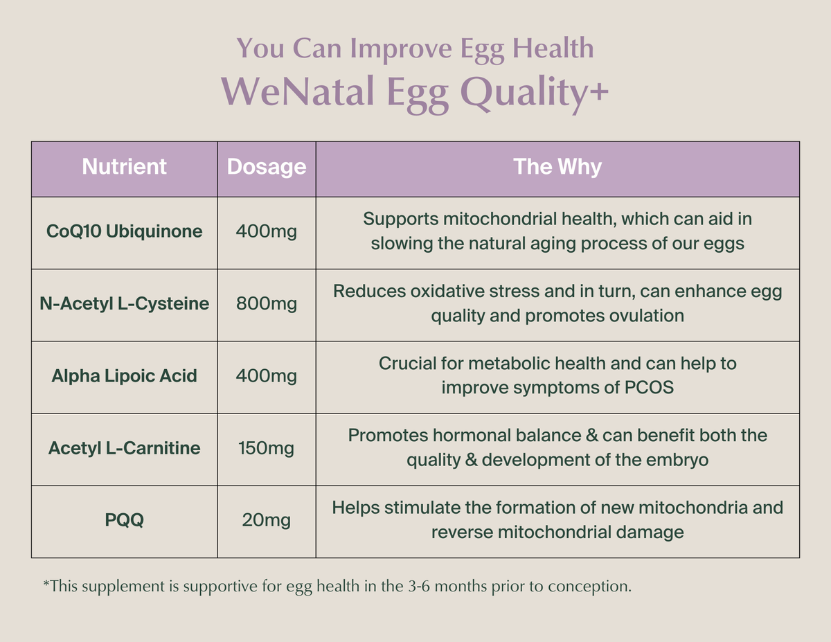 We Natal Egg Quality+ – JESSEGOLDEN